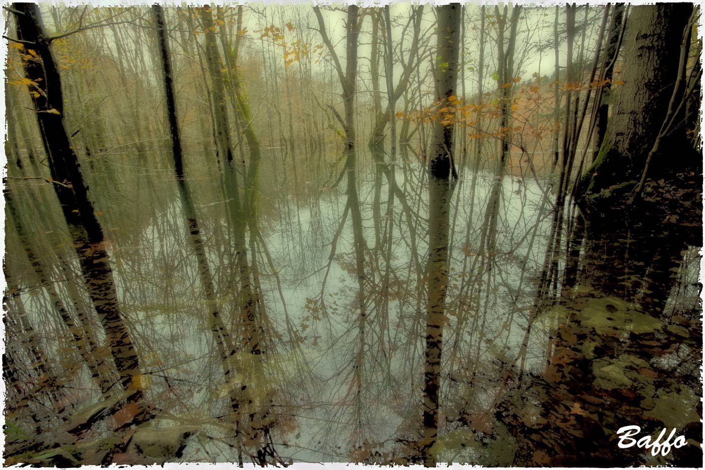 Un mondo riflesso...